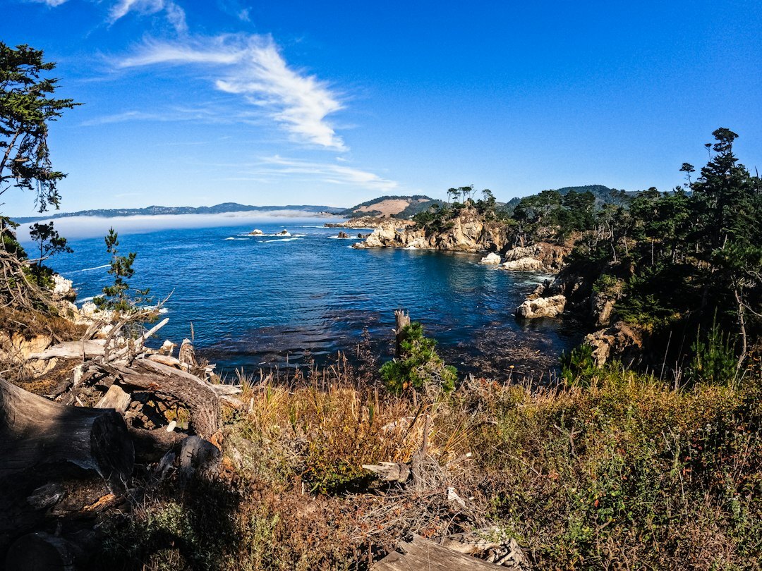 coastal road by sea