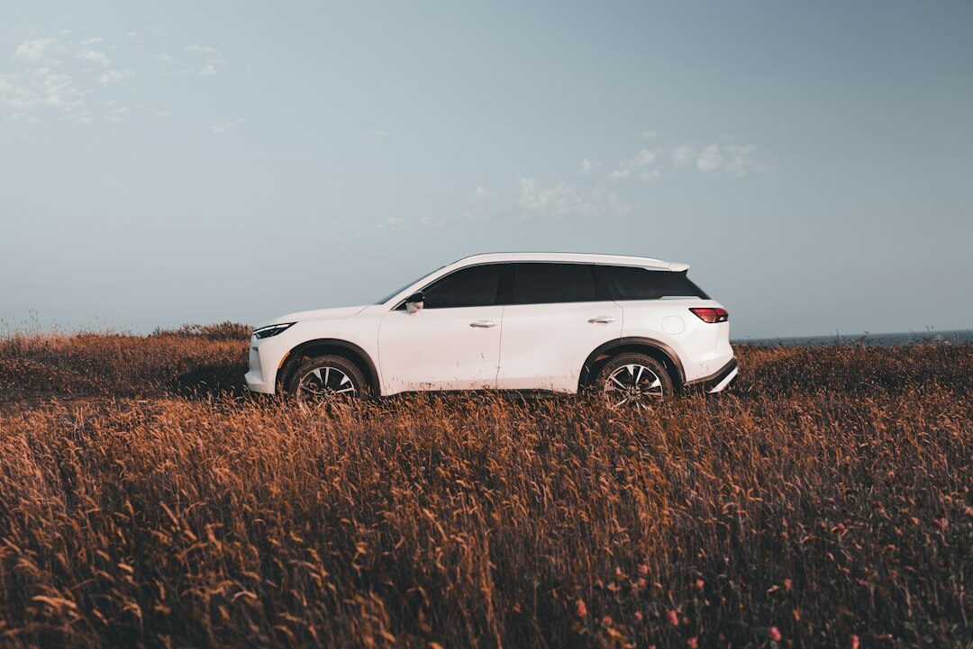 sustainable car materials