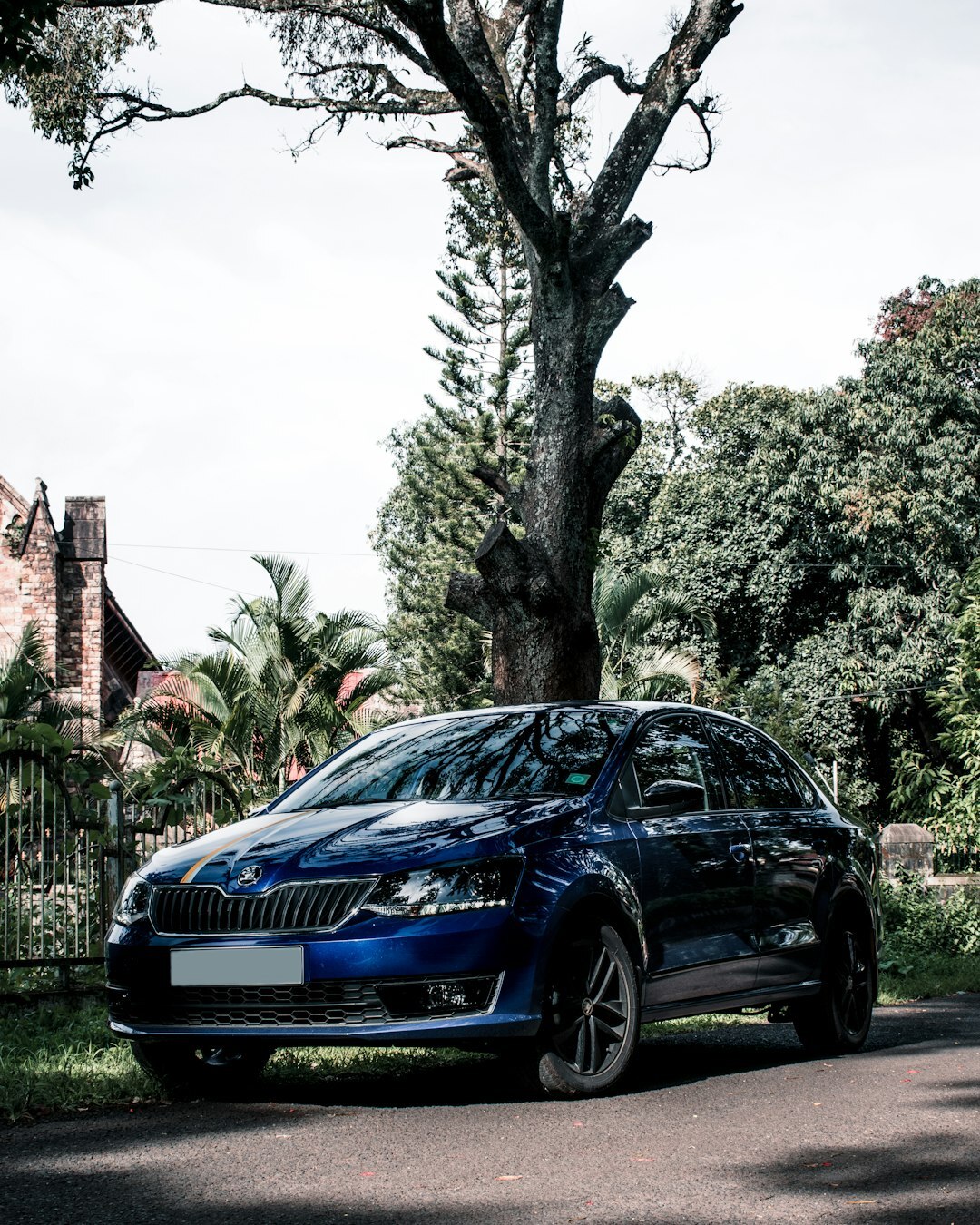 ideal car for different occasions