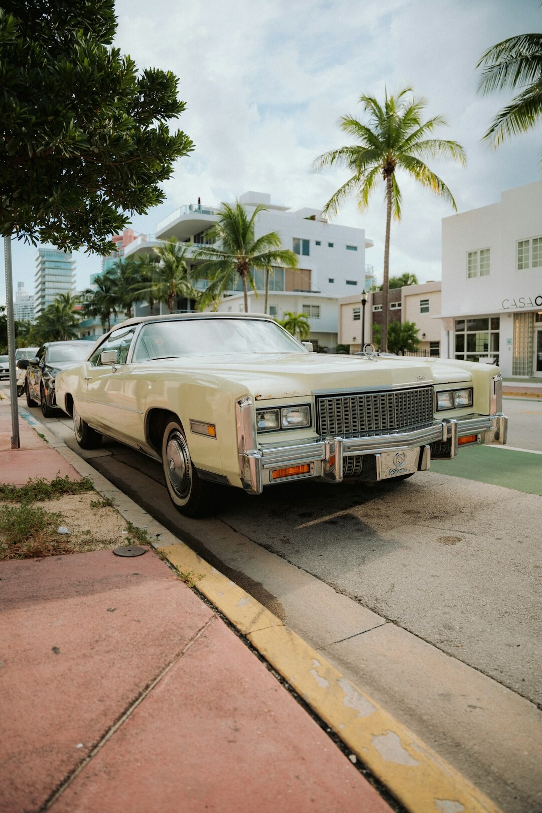 Vintage convertible parked near the beach in Punta del Este with palm trees